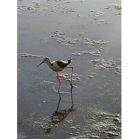 בית נופש Uitzicht Op De Oceaan קלפה
