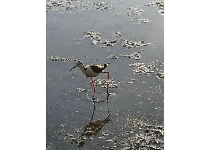 펜션 Uitzicht Op De Oceaan 칼페
