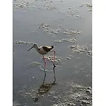 Дом отдыха Uitzicht Op De Oceaan Кальпе